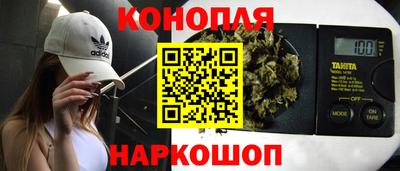 гидра Вязьма