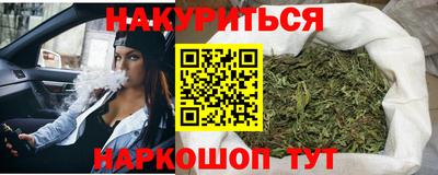 гидра Вязьма