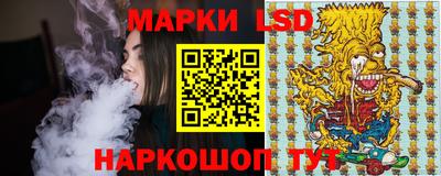 гидра Вязьма